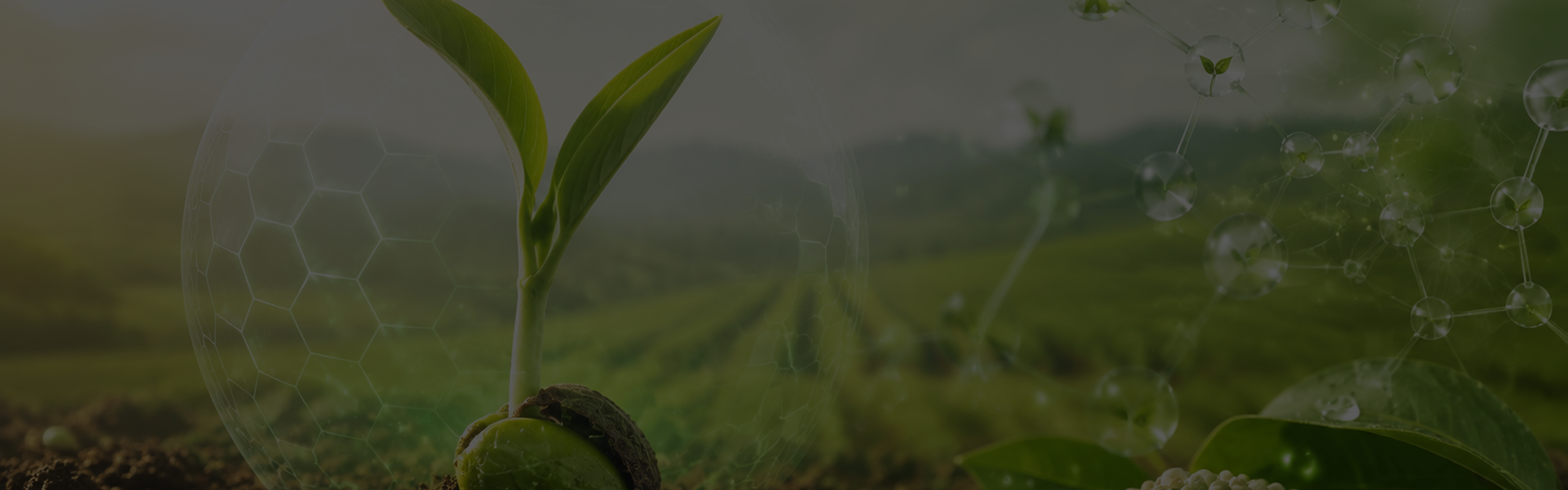 Seedling emerging from soil beneath a molecular shield, agricultural field in the background