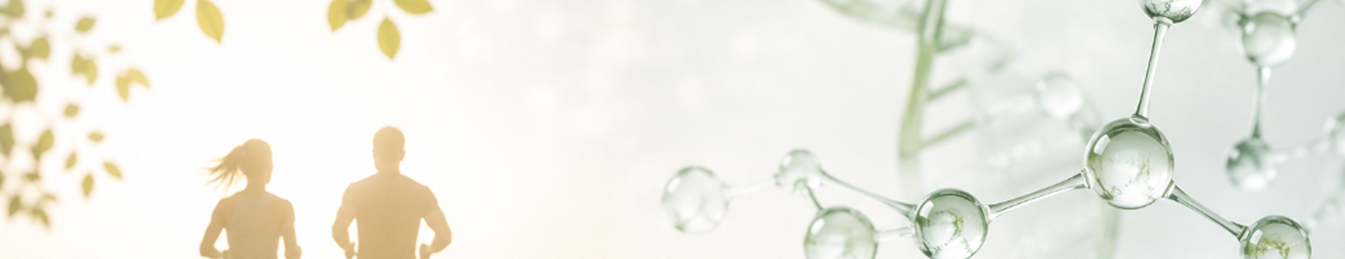 ADS:NAE — N-stearoylethanolamine molecule over a tea field
