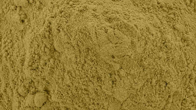 Apigenin